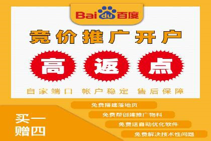 百度推广平台案例剖析：揭秘广告投放策略
